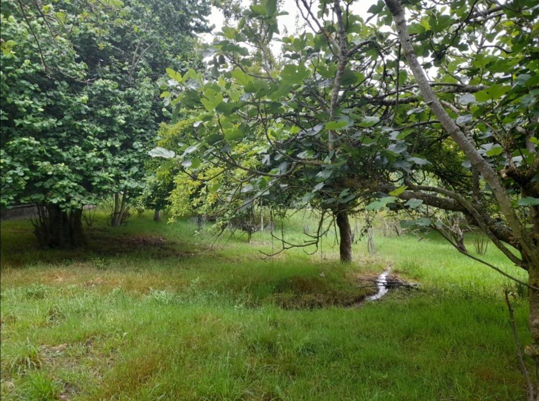 Willa A Casa Dos Avos Celanova Zewnętrze zdjęcie